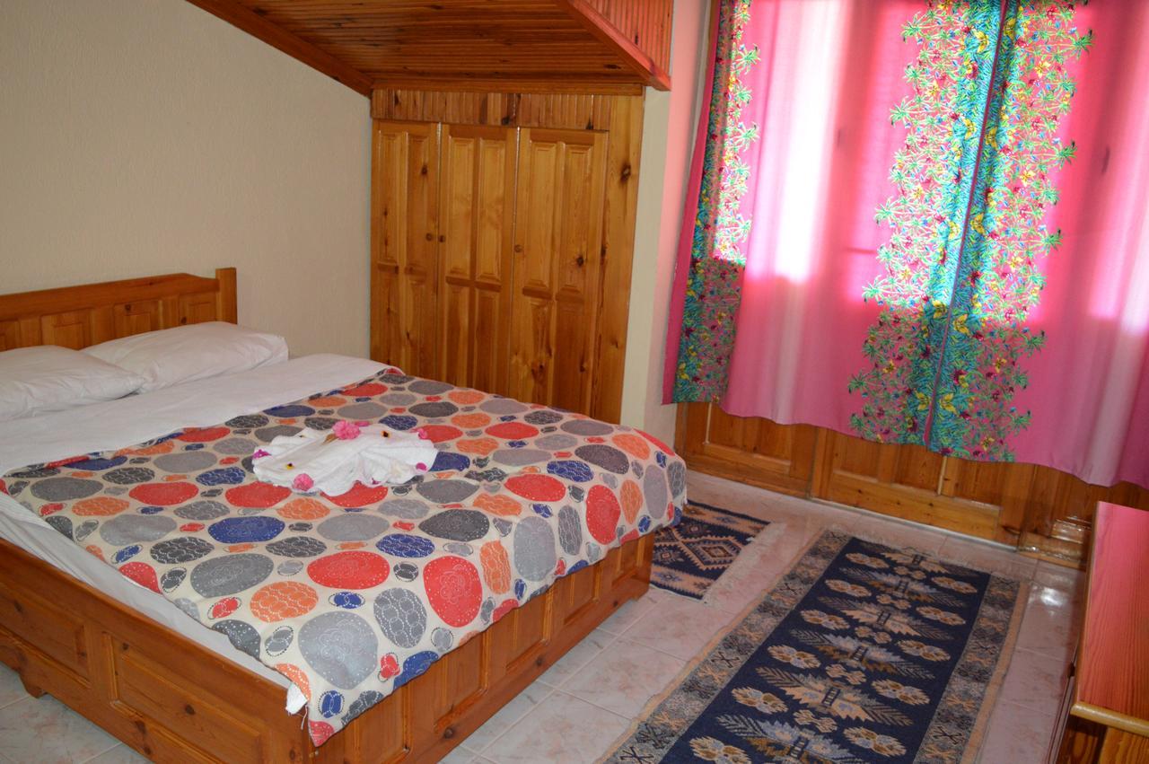 Erasmus Apart Hotel 达利安 外观 照片